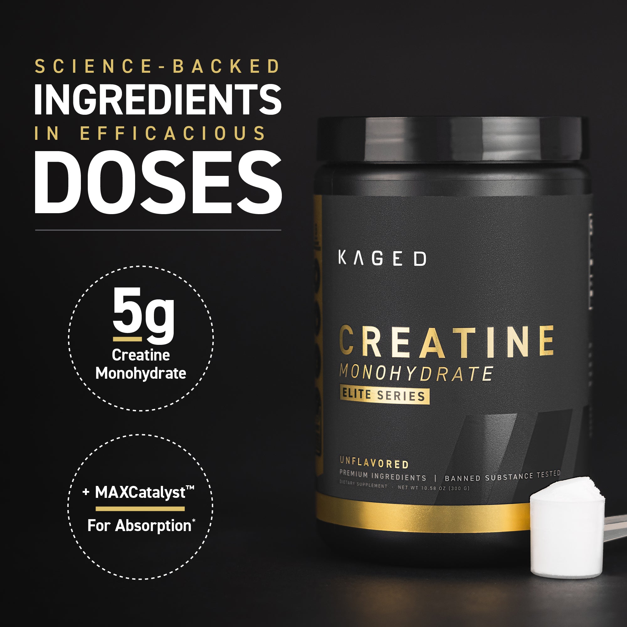 Creatine Monohydrate Elite