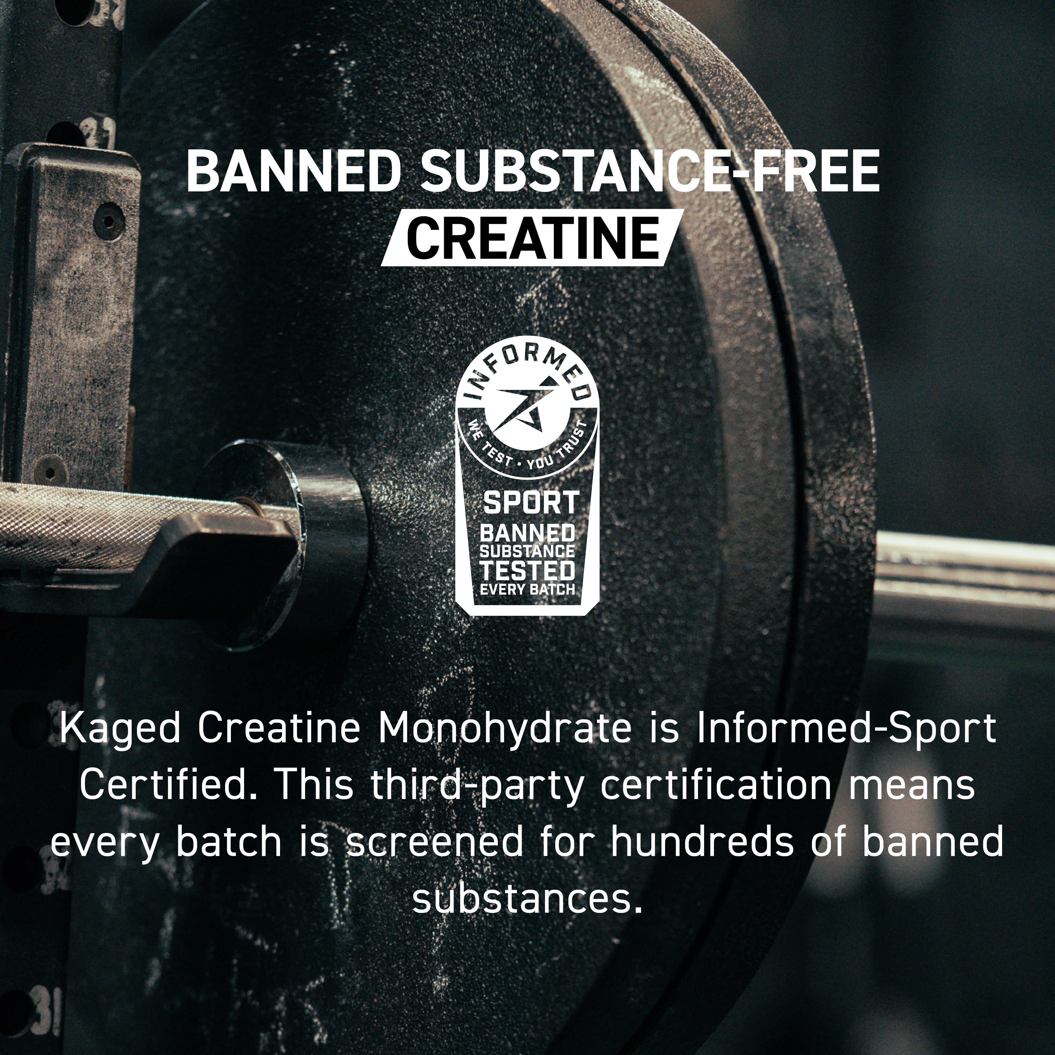 Creatine Monohydrate Elite