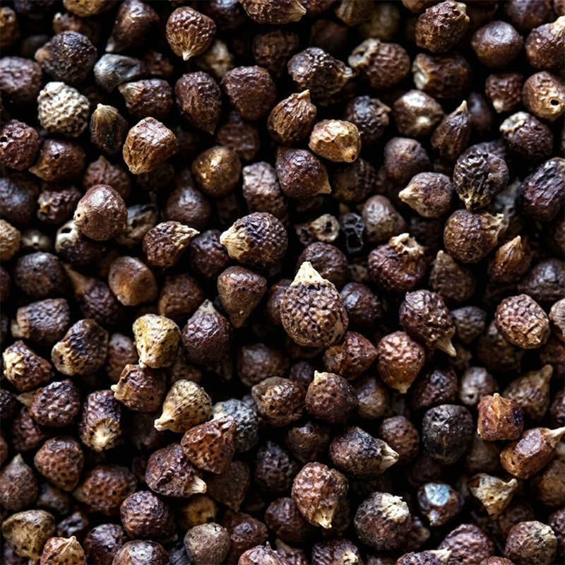 Close-up of Grains of Paradise seeds showcasing textured brown seed surfaces on a dark background