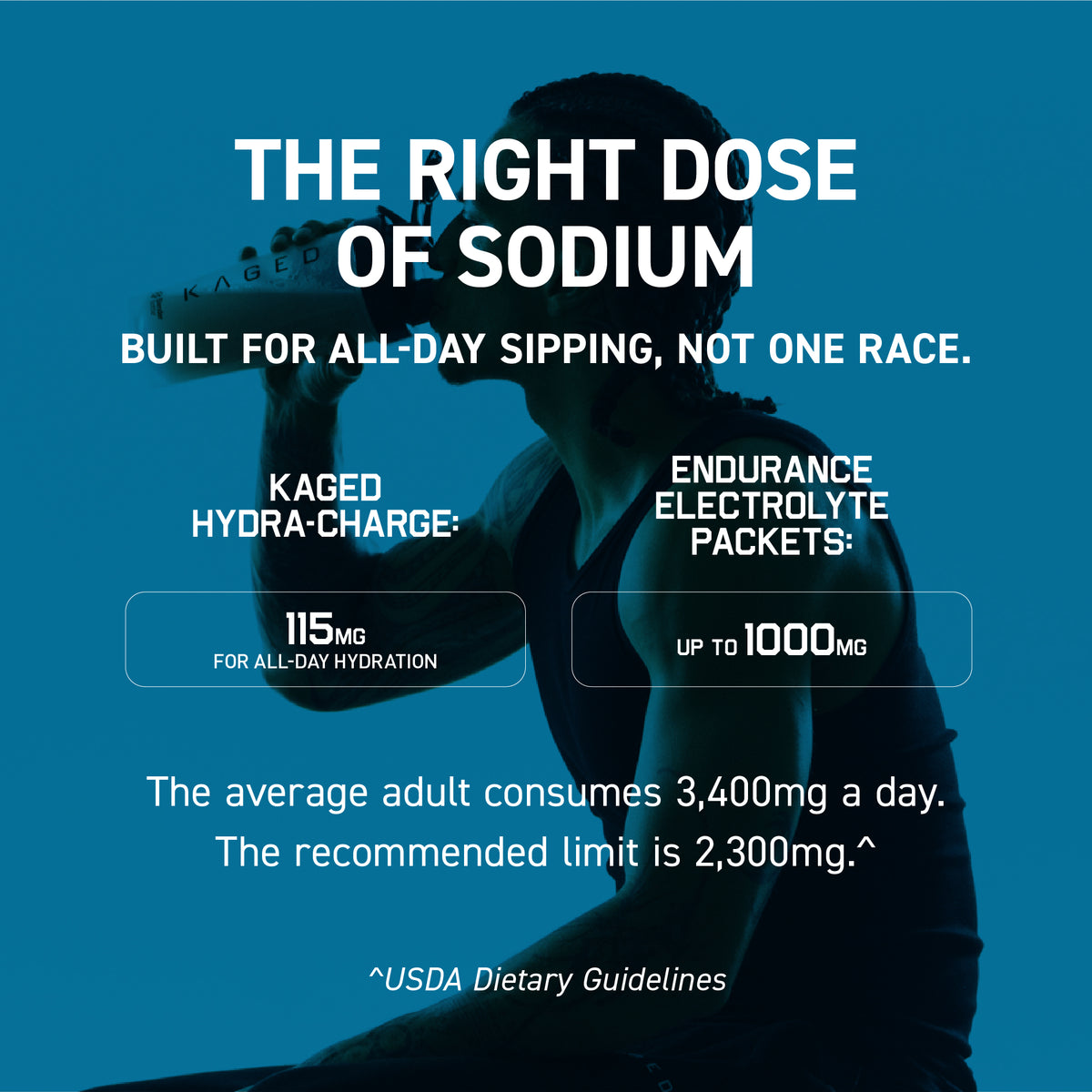 Hydra-Charge Sucralose-Free