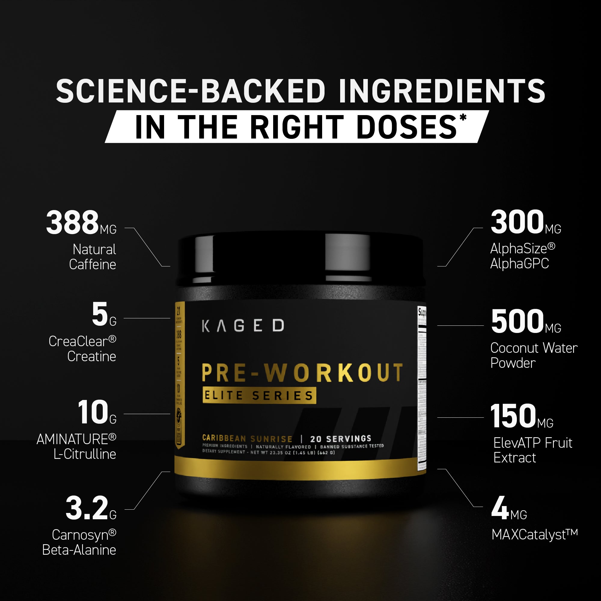Banner infographic showing ‘Science-backed ingredients in the right doses’ above a Pre-Workout Elite tub with labeled ingredient dosages